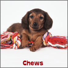 Fido's Fave Chews